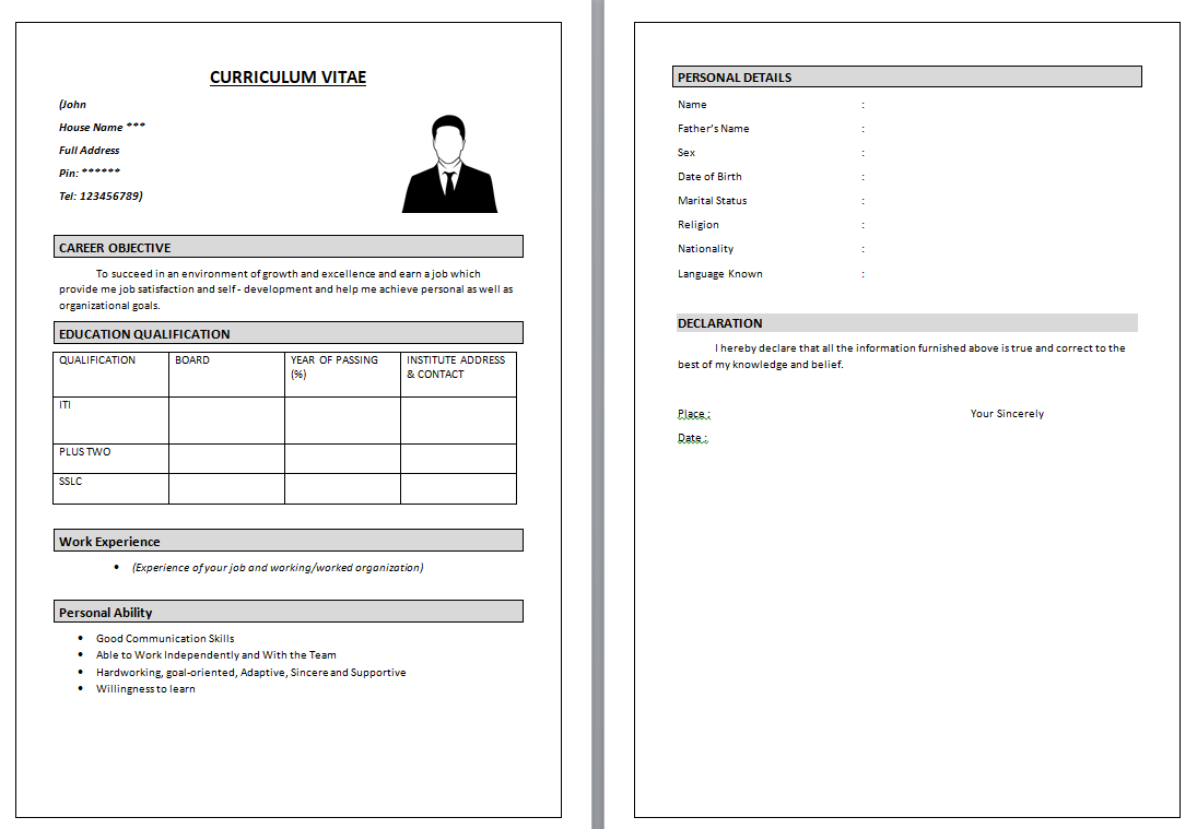 Curriculum Vitae Word Format - CloudBirds